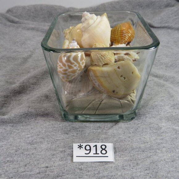 REAL Sea Shells in a Glass Square Vase and sand - Picture 5 of 6